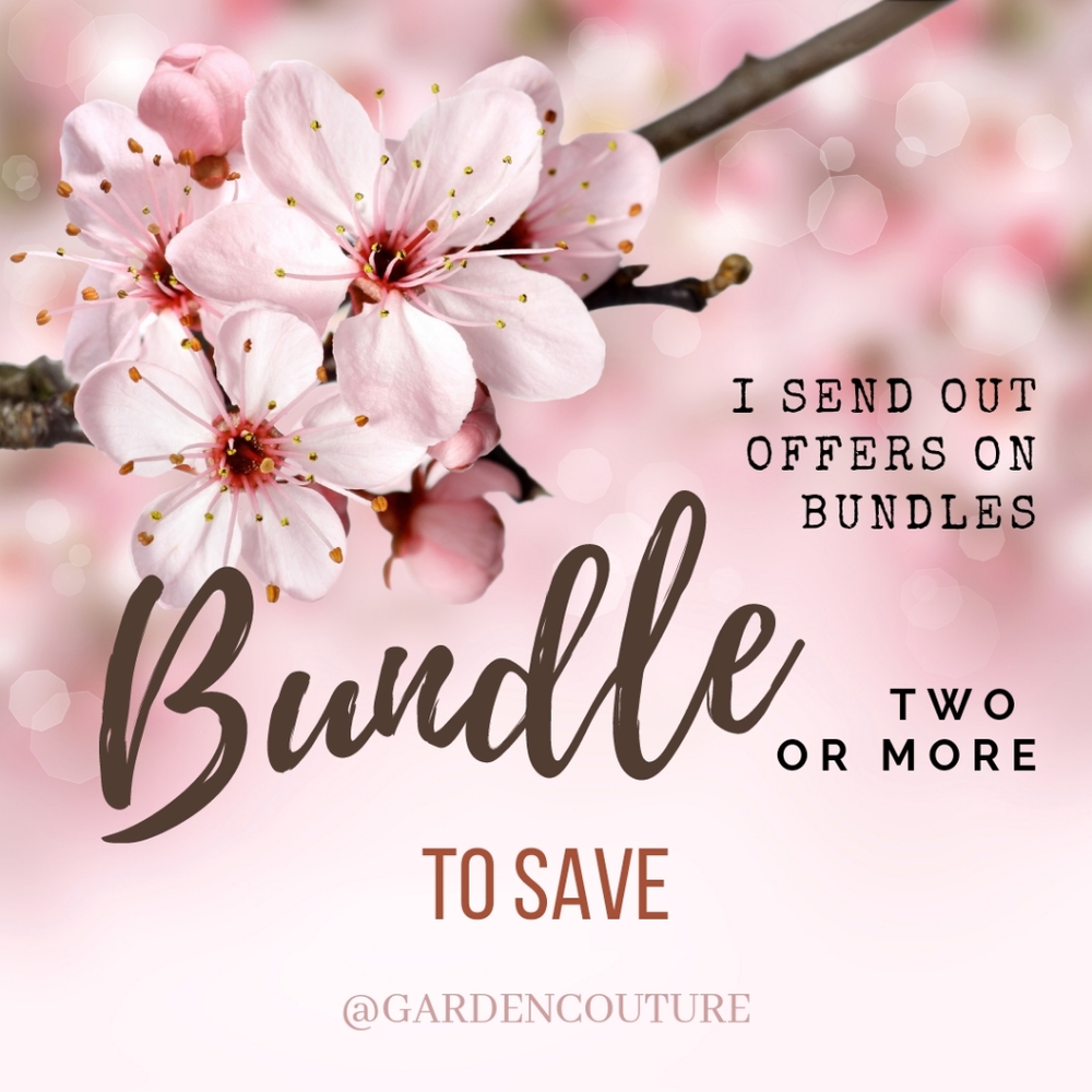 Limited Time Offer